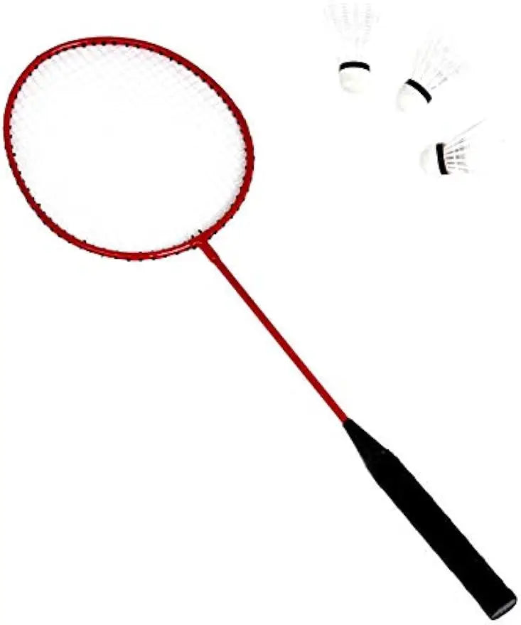 Outdoor Volleyball and Badminton Combo Set